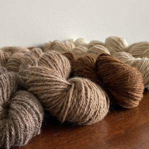 Lepisto Farmette Alpaca