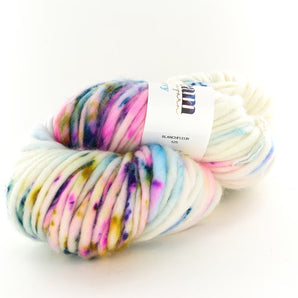 Dream in Color Savvy