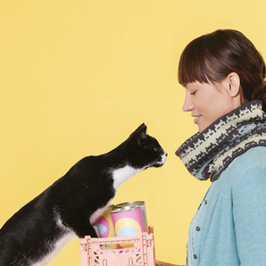 Cat Knits; 16 Pawsome Knitting Patterns for Yarn and Cat Lovers, by Marna Gilligan